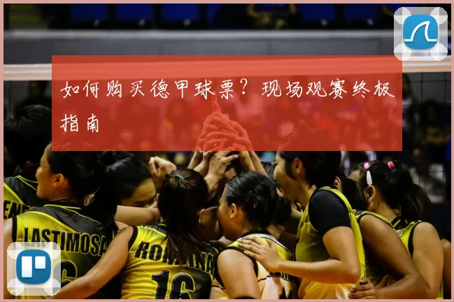 如何购买德甲球票？现场观赛终极指南