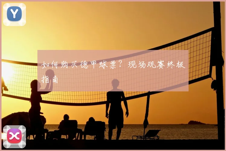如何购买德甲球票？现场观赛终极指南